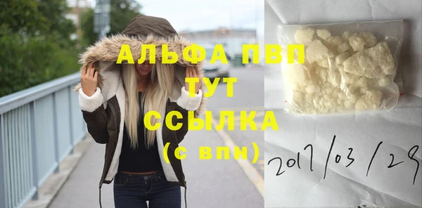 стаф Верхний Тагил