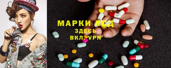 стаф Верхний Тагил